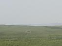 0 Sands Dunes, Maximeville, PE 