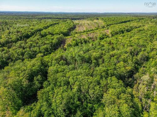 Lot Danvers Road, Danvers, NS 