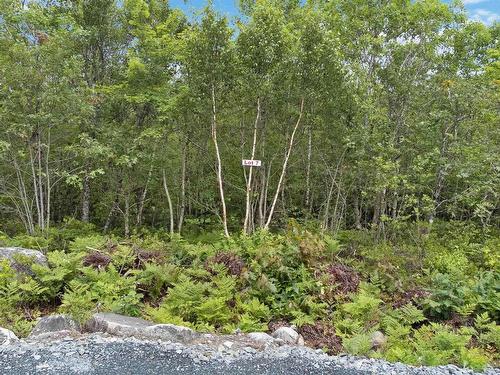 Lot 7 Maple Ridge Drive, White Point, NS 