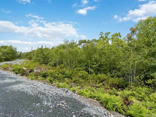 Lot 12 Maple Ridge Drive, White Point, NS 
