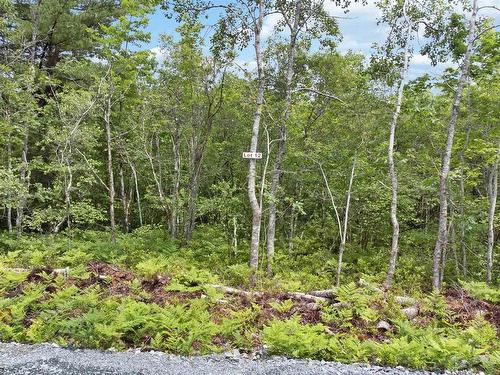 Lot 12 Maple Ridge Drive, White Point, NS 