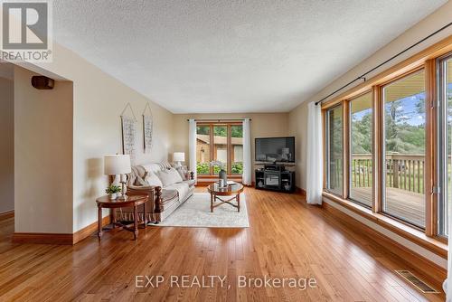 9640 Dagmar Road, Whitby, ON - Indoor Photo Showing Living Room