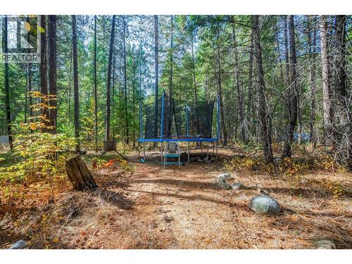 60 Pringle Road, Carmi, BC - Outdoor With View