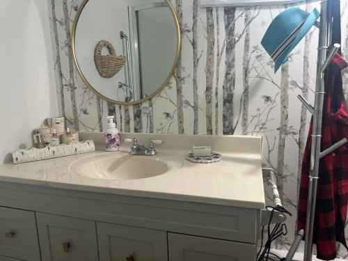 Salle de bains - 21 Ch. Whitefish, Gracefield, QC 