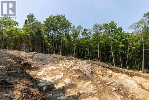 2212 Aspdin Road, Huntsville (Stisted), ON 