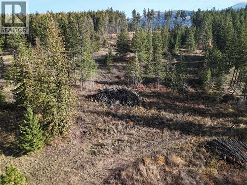 1026 36Th  N Avenue, Erickson, BC - Outdoor With View