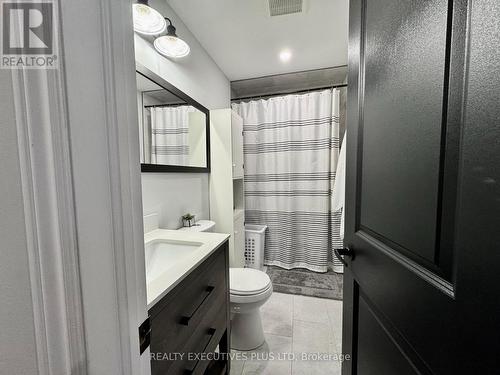 6 Elgin Street N, Cambridge, ON - Indoor Photo Showing Bathroom
