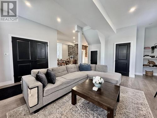 6 Elgin Street N, Cambridge, ON - Indoor Photo Showing Living Room