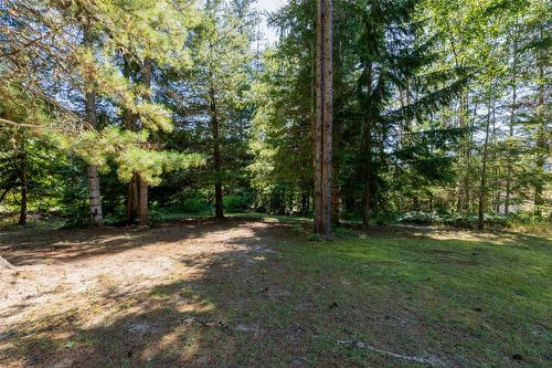 1834 Stepp Pit Road, Sicamous, BC - Outdoor