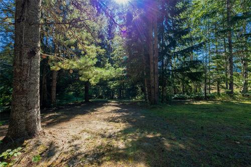 1834 Stepp Pit Road, Sicamous, BC - Outdoor With View