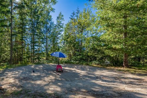1834 Stepp Pit Road, Sicamous, BC - Outdoor With View