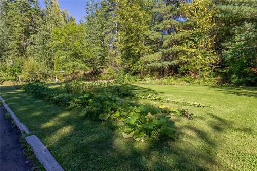 1834 Stepp Pit Road, Sicamous, BC - Outdoor