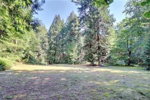 6375 St Johns Point Rd, Hornby Island, BC 