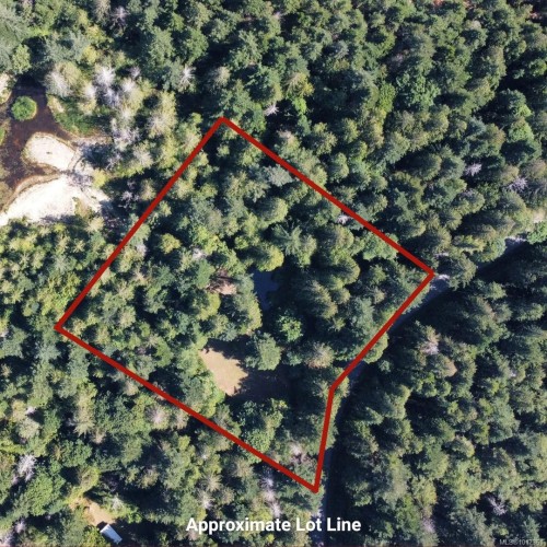 6375 St Johns Point Rd, Hornby Island, BC 