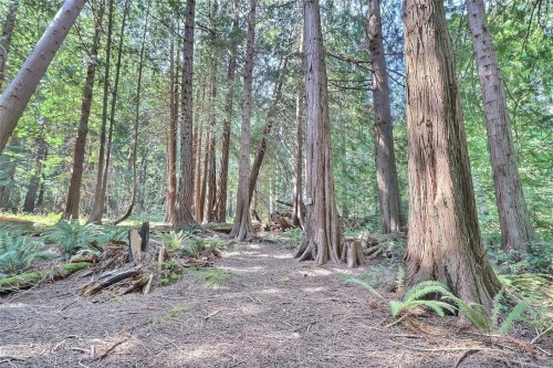 6375 St Johns Point Rd, Hornby Island, BC 