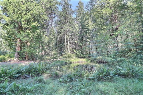 6375 St Johns Point Rd, Hornby Island, BC 