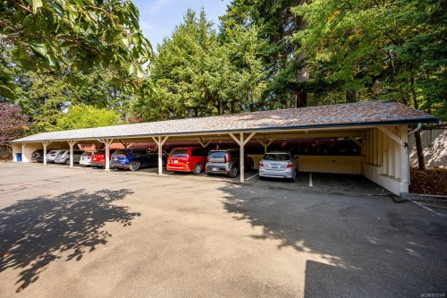 103-1902 Comox Ave, Comox, BC - Outdoor