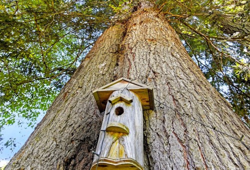 4455 Elizabeth St, Port Alberni, BC 