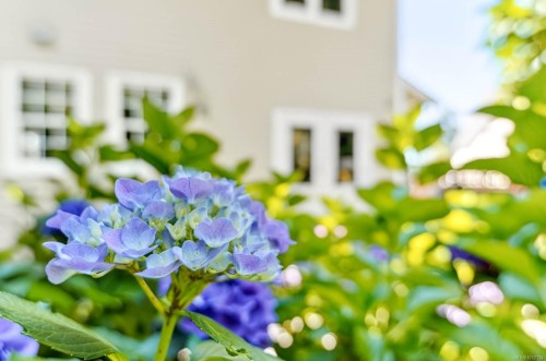 4455 Elizabeth St, Port Alberni, BC 