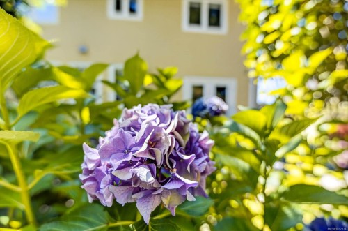 4455 Elizabeth St, Port Alberni, BC 