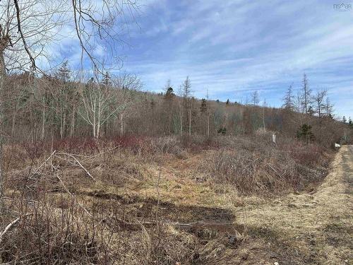 Culloden Road, Mount Pleasant, NS 