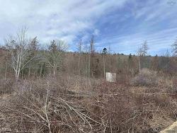 Culloden Road  Mount Pleasant, NS B0V 1A0