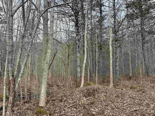 Culloden Road, Mount Pleasant, NS 