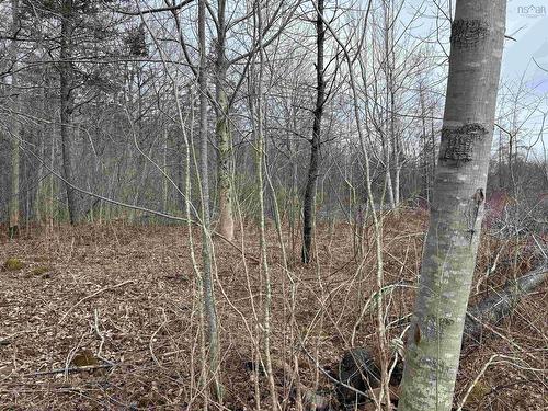 Culloden Road, Mount Pleasant, NS 