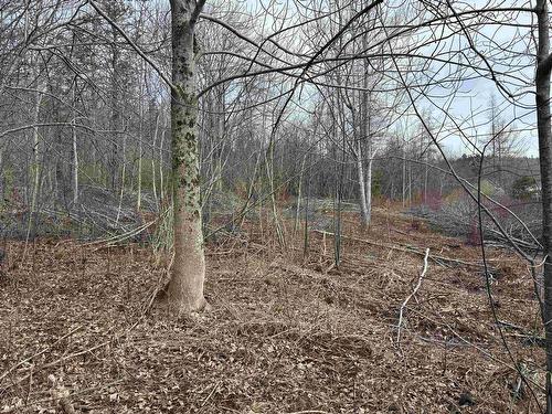 Culloden Road, Mount Pleasant, NS 