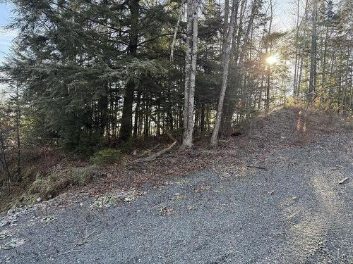 Lot 80-1C Nelson Road, Shubenacadie, NS 