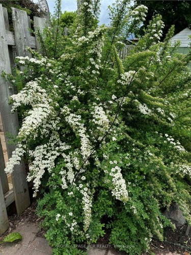 311 Whitehead Crescent, Caledon, ON - Outdoor