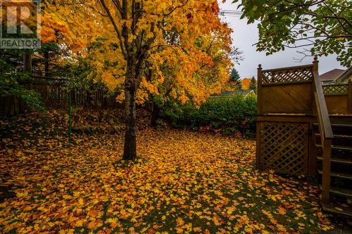 104 Frecker Drive, St. John'S, NL - Outdoor