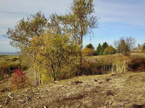 Alexander Avenue, Inverness, NS 
