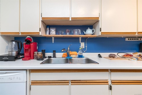 419-1005 Mckenzie Ave, Saanich, BC - Indoor Photo Showing Kitchen With Double Sink