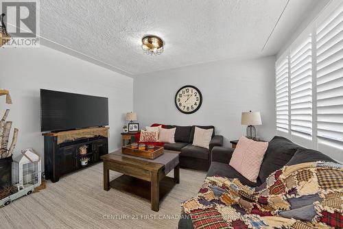 37 Tennyson Street, London East (East M), ON - Indoor Photo Showing Living Room With Fireplace