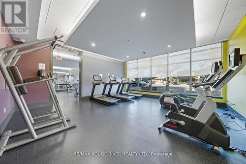 Exercise - 213 - 1185 The Queensway Avenue, Toronto, ON - Indoor Photo Showing Gym Room