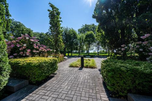 Jardin - 1201-100 Rue Hall, Montréal (Verdun/Île-Des-Soeurs), QC - Outdoor