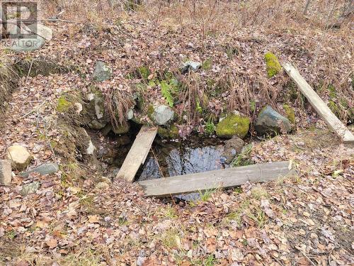 1446 Flinton Road, Tweed (Elzevir (Twp)), ON 