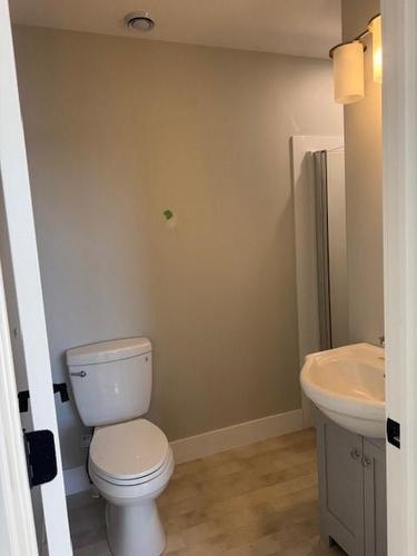 80 Inner Pond North Road, Ocean Pond, NL 