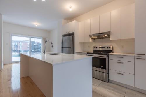 Cuisine - 1098Z Rue Jacqueline-Sicotte, Montréal (Lasalle), QC - Indoor Photo Showing Kitchen With Upgraded Kitchen