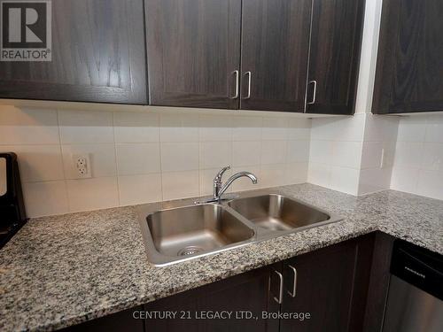 209 - 54 Sky Harbour Drive, Brampton, ON - Indoor Photo Showing Kitchen With Double Sink