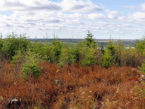 Acreage Sonora Road, Sherbrooke, NS 