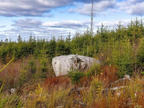 Acreage Sonora Road, Sherbrooke, NS 