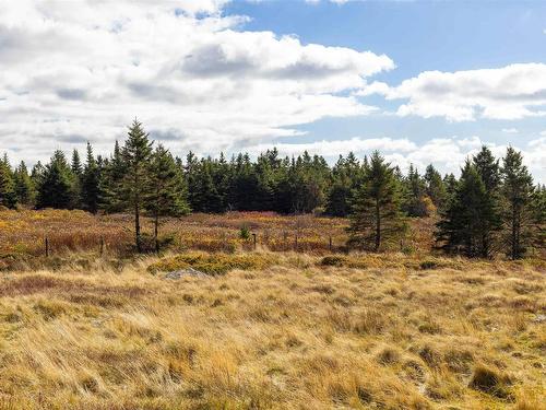 Acreage Sonora Road, Sherbrooke, NS 