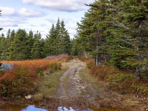 Acreage Sonora Road, Sherbrooke, NS 