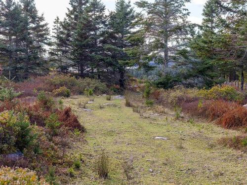 Acreage Sonora Road, Sherbrooke, NS 