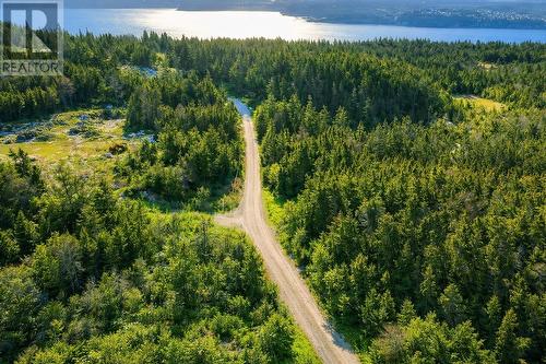 0 Wades Farm Road, Flatrock, NL 