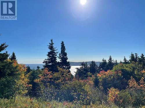 0 Wades Farm Road, Flatrock, NL 