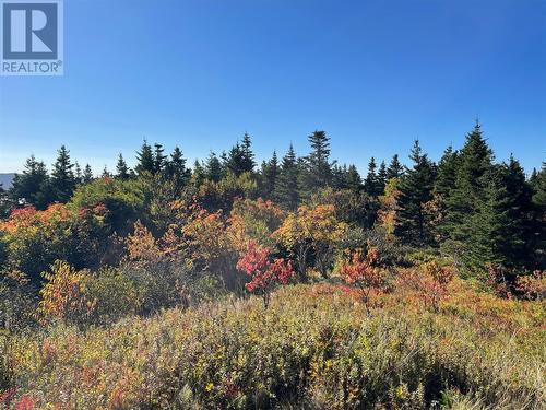 0 Wades Farm Road, Flatrock, NL 