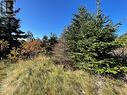 0 Wades Farm Road, Flatrock, NL 